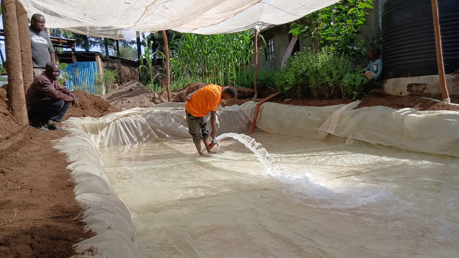Farmers participating in agricultural activities